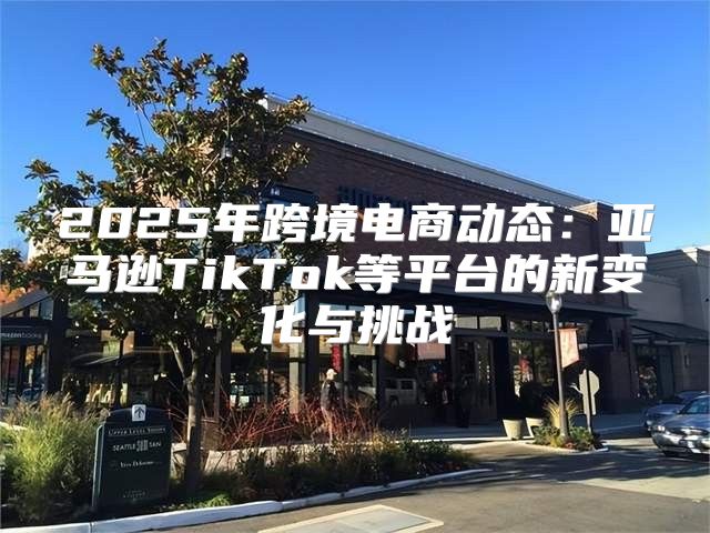 2025年跨境电商动态：亚马逊TikTok等平台的新变化与挑战