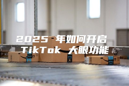 2025 年如何开启 TikTok 大眼功能