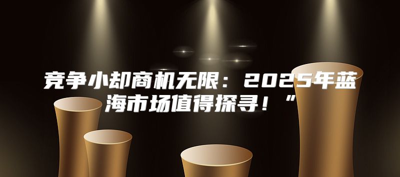 竞争小却商机无限：2025年蓝海市场值得探寻！”