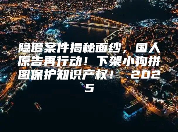 隐匿案件揭秘面纱，国人原告再行动！下架小狗拼图保护知识产权！ 2025