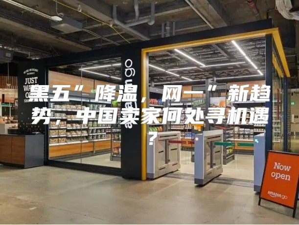 黑五”降温，网一”新趋势，中国卖家何处寻机遇？