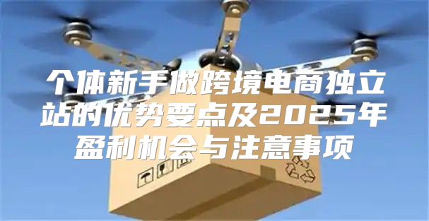 个体新手做跨境电商独立站的优势要点及2025年盈利机会与注意事项