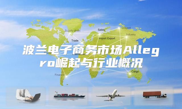波兰电子商务市场Allegro崛起与行业概况