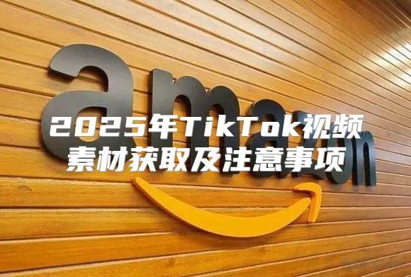 2025年TikTok视频素材获取及注意事项