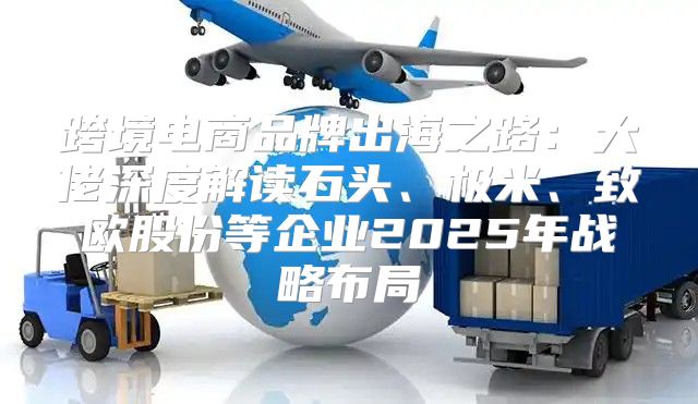 跨境电商品牌出海之路：大佬深度解读石头、极米、致欧股份等企业2025年战略布局