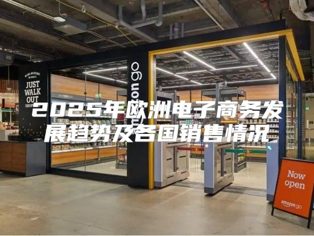 2025年欧洲电子商务发展趋势及各国销售情况