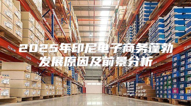 2025年印尼电子商务蓬勃发展原因及前景分析