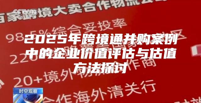 2025年跨境通并购案例中的企业价值评估与估值方法探讨