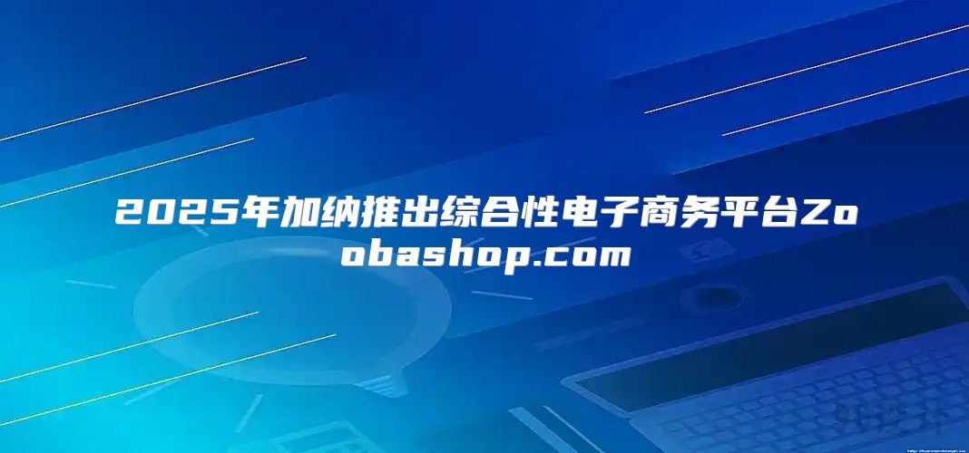 2025年加纳推出综合性电子商务平台Zoobashop.com