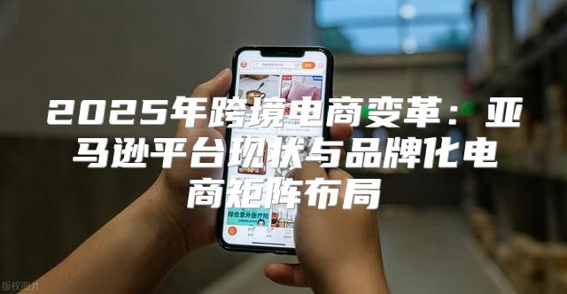 2025年跨境电商变革：亚马逊平台现状与品牌化电商矩阵布局