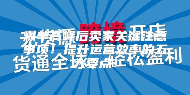 爆单高峰后卖家关键注意事项！提升运营效率的五大要点！