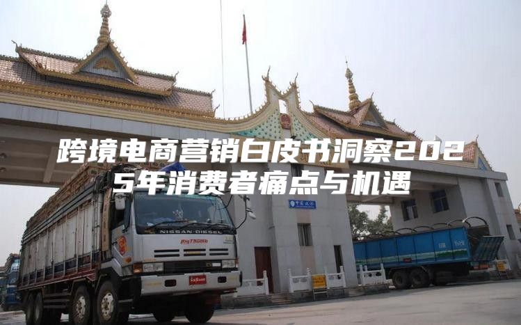 跨境电商营销白皮书洞察2025年消费者痛点与机遇