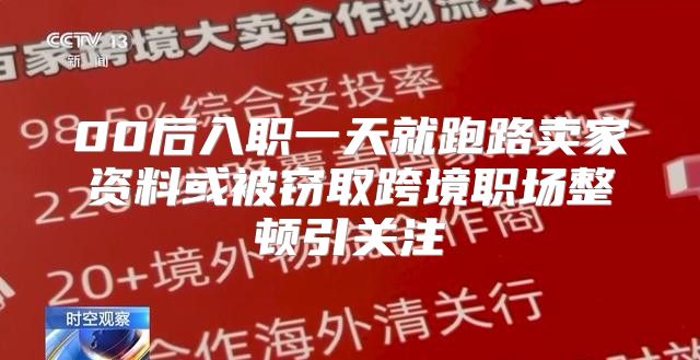 00后入职一天就跑路卖家资料或被窃取跨境职场整顿引关注
