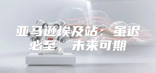 亚马逊埃及站：虽迟必至，未来可期