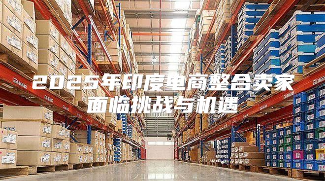 2025年印度电商整合卖家面临挑战与机遇
