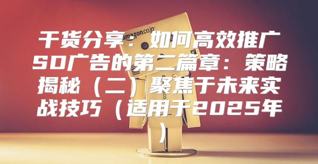 干货分享：如何高效推广SD广告的第二篇章：策略揭秘二聚焦于未来实战技巧适用于2025年