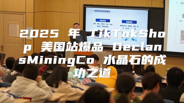 2025 年 TikTokShop 美国站爆品 DeclansMiningCo 水晶石的成功之道