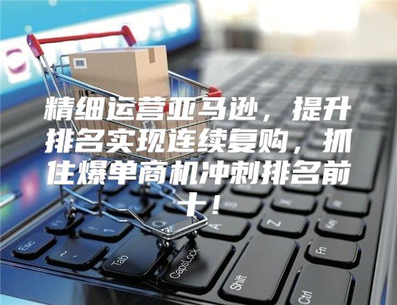 精细运营亚马逊，提升排名实现连续复购，抓住爆单商机冲刺排名前十！