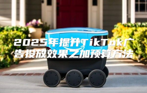 2025年提升TikTok广告投放效果之加预算方法