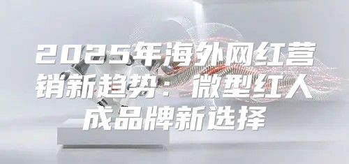 2025年海外网红营销新趋势：微型红人成品牌新选择