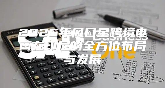 2025年风口星跨境电商在印尼的全方位布局与发展