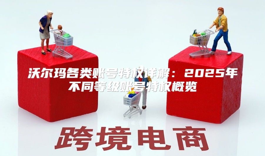 沃尔玛各类账号特权详解：2025年不同等级账号特权概览