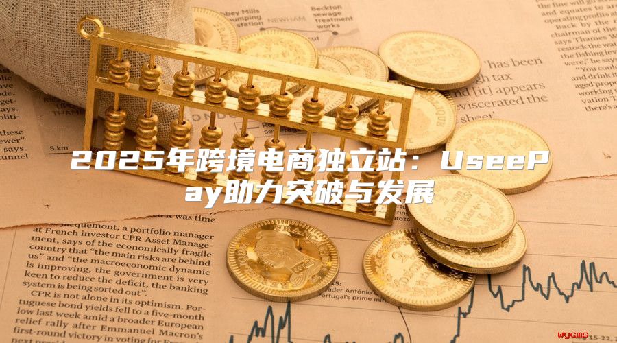 2025年跨境电商独立站：UseePay助力突破与发展