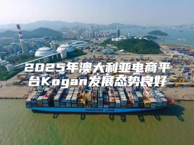 2025年澳大利亚电商平台Kogan发展态势良好