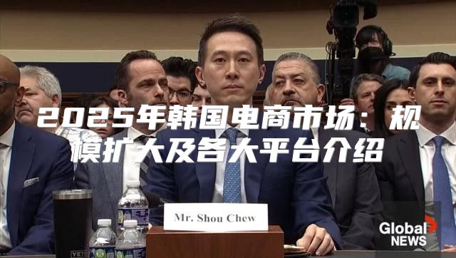 2025年韩国电商市场：规模扩大及各大平台介绍