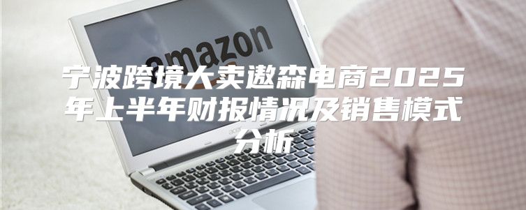 宁波跨境大卖遨森电商2025年上半年财报情况及销售模式分析