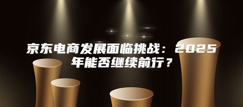 京东电商发展面临挑战：2025年能否继续前行？