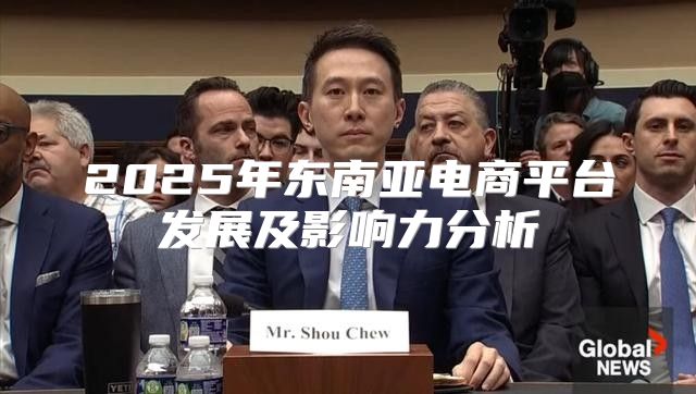 2025年东南亚电商平台发展及影响力分析