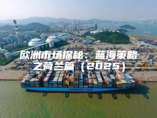 欧洲市场探秘：蓝海策略之荷兰篇2025