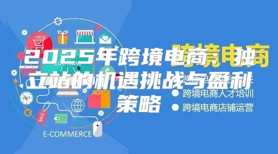 2025年跨境电商：独立站的机遇挑战与盈利策略
