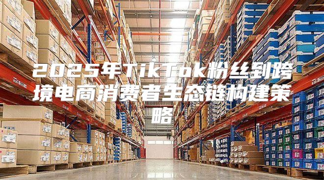 2025年TikTok粉丝到跨境电商消费者生态链构建策略