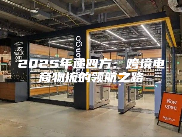 2025年递四方：跨境电商物流的领航之路