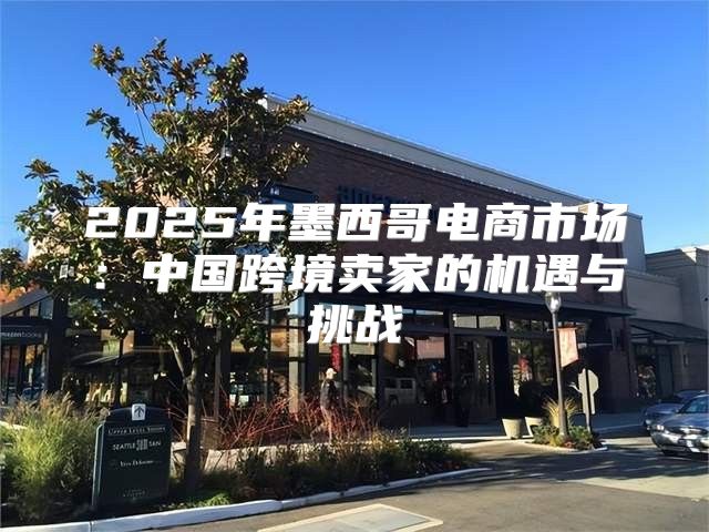 2025年墨西哥电商市场：中国跨境卖家的机遇与挑战