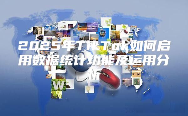 2025年TikTok如何启用数据统计功能及运用分析