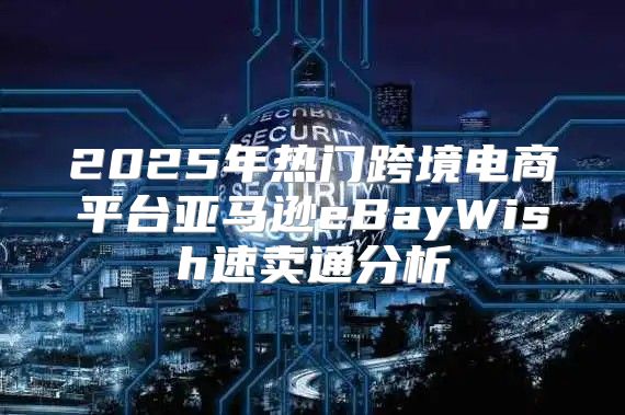 2025年热门跨境电商平台亚马逊eBayWish速卖通分析