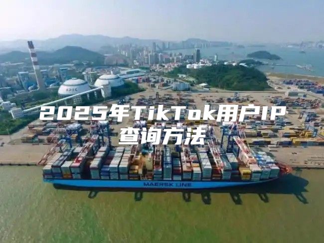 2025年TikTok用户IP查询方法