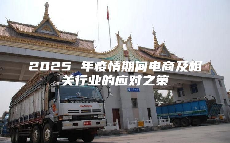 2025 年疫情期间电商及相关行业的应对之策