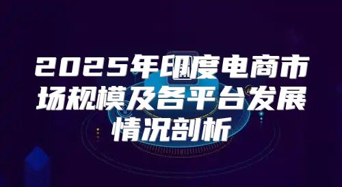 2025年印度电商市场规模及各平台发展情况剖析