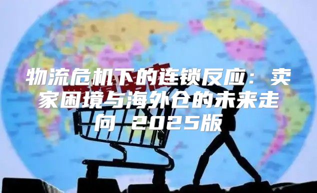 物流危机下的连锁反应：卖家困境与海外仓的未来走向 2025版