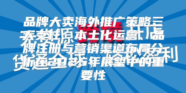 品牌大卖海外推广策略三大支柱：本土化运营、品牌注册与营销渠道布局分析在2025年展望中的重要性