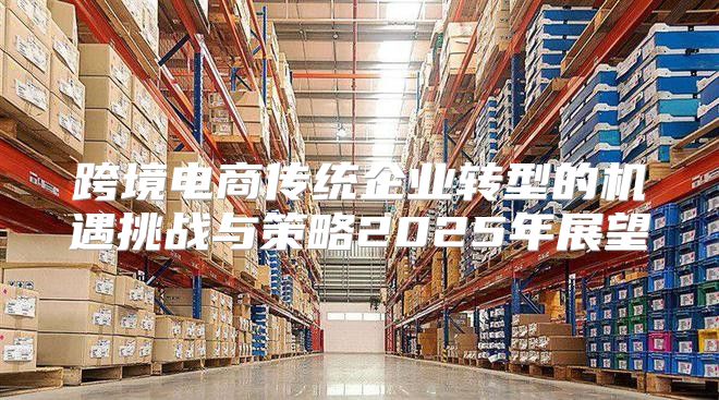 跨境电商传统企业转型的机遇挑战与策略2025年展望