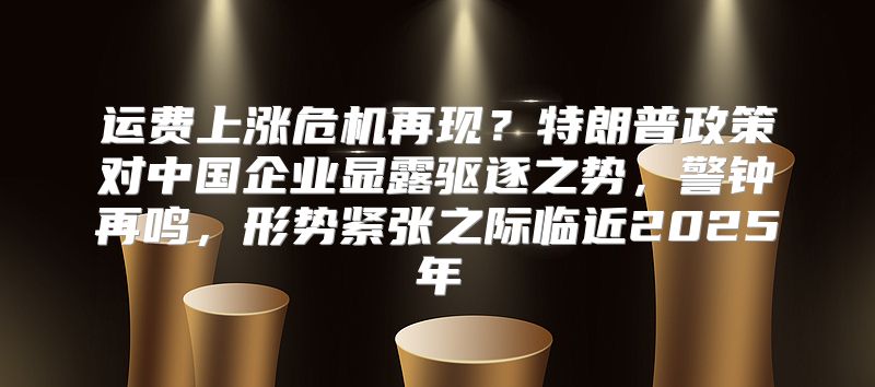 运费上涨危机再现？特朗普政策对中国企业显露驱逐之势，警钟再鸣，形势紧张之际临近2025年