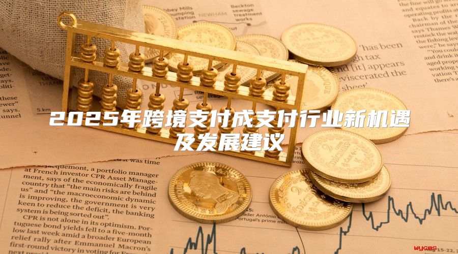 2025年跨境支付成支付行业新机遇及发展建议