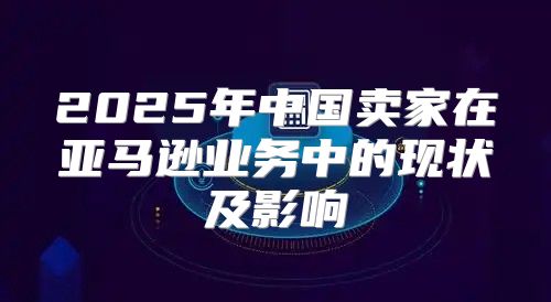 2025年中国卖家在亚马逊业务中的现状及影响