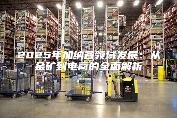 2025年加纳各领域发展：从金矿到电商的全面解析