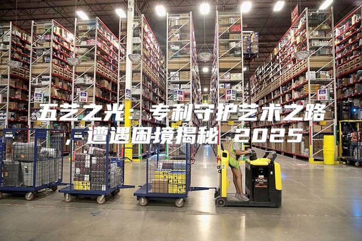 五艺之光：专利守护艺术之路，遭遇困境揭秘 2025